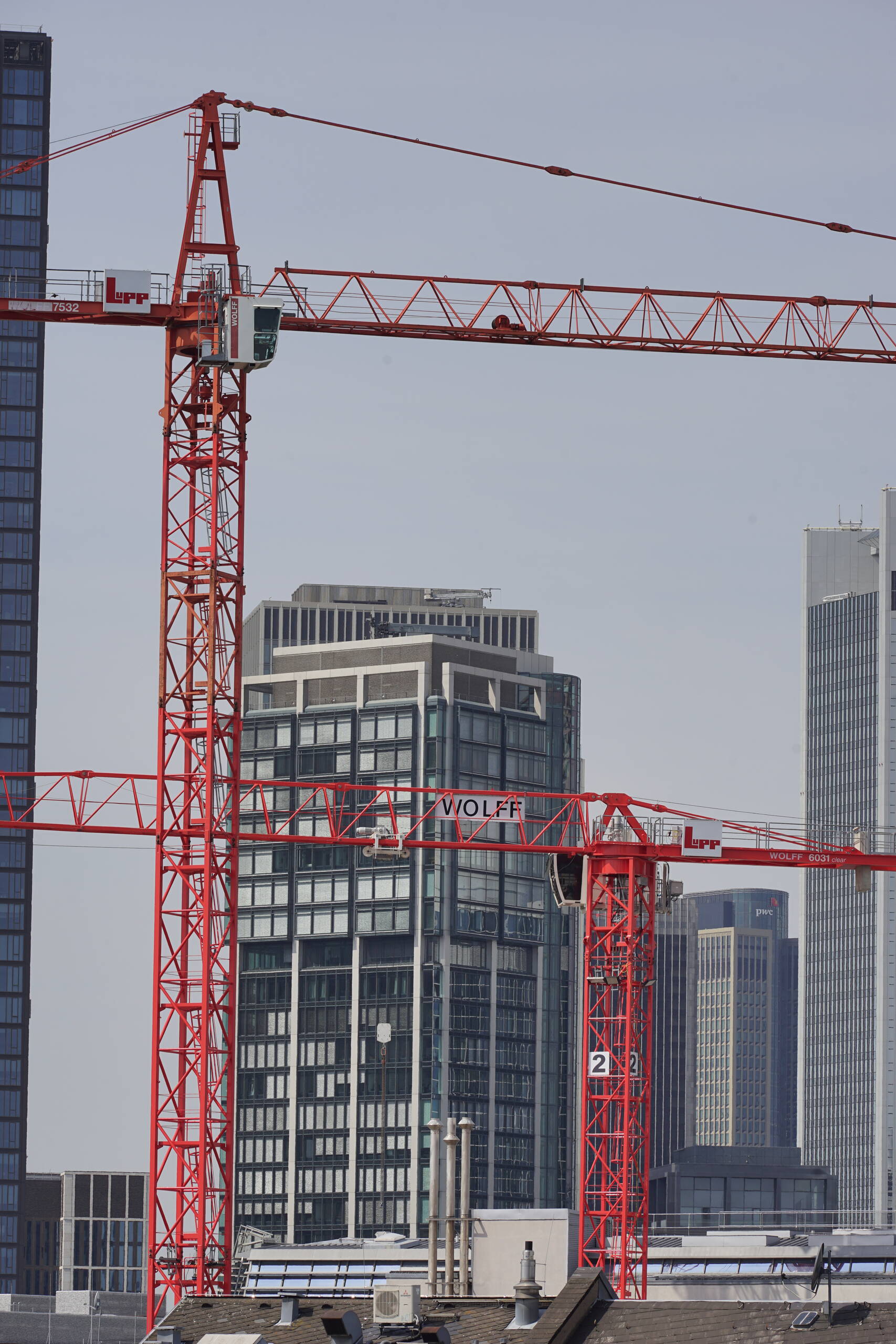 An image of red cranes.